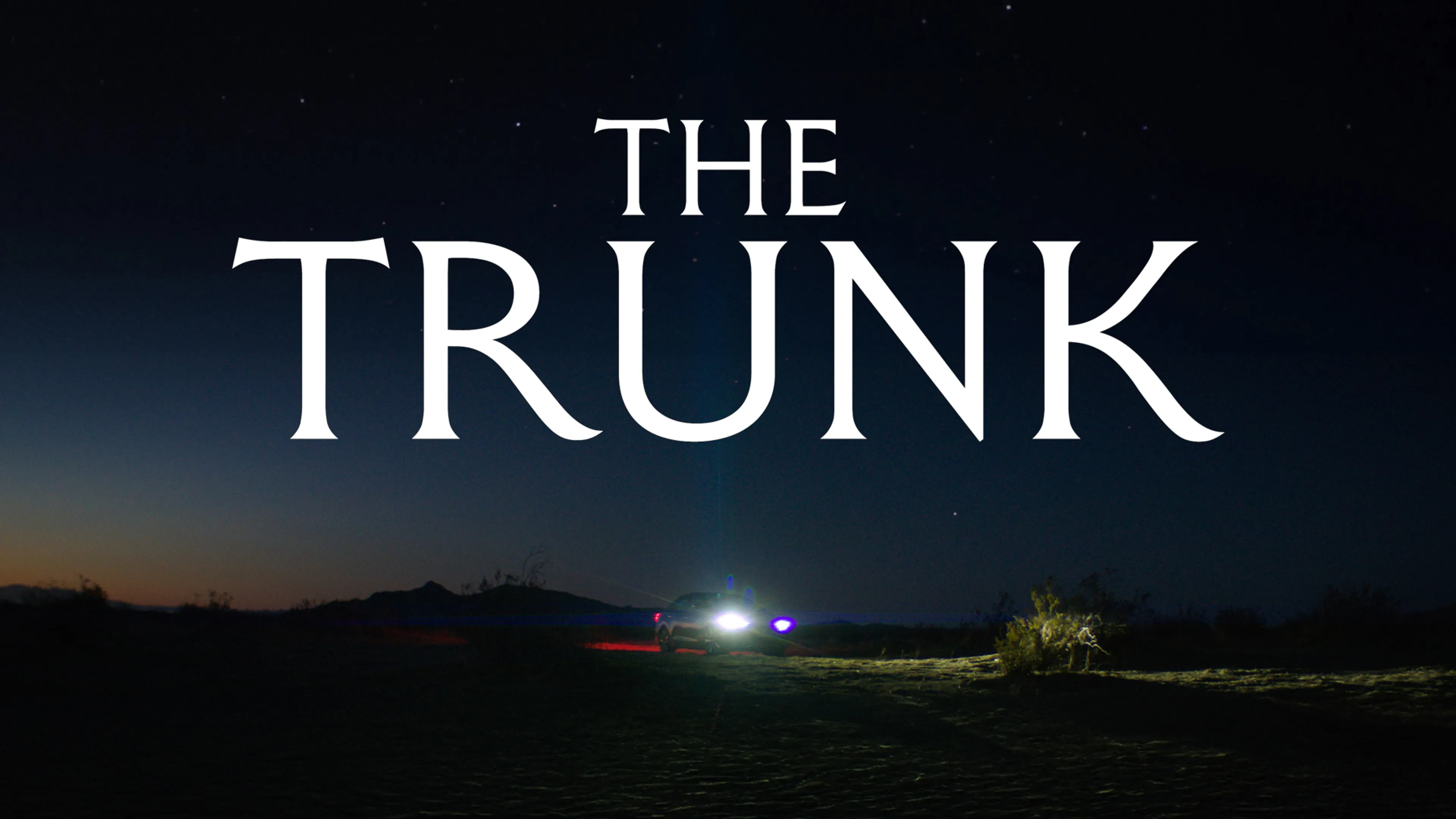 The Trunk poster